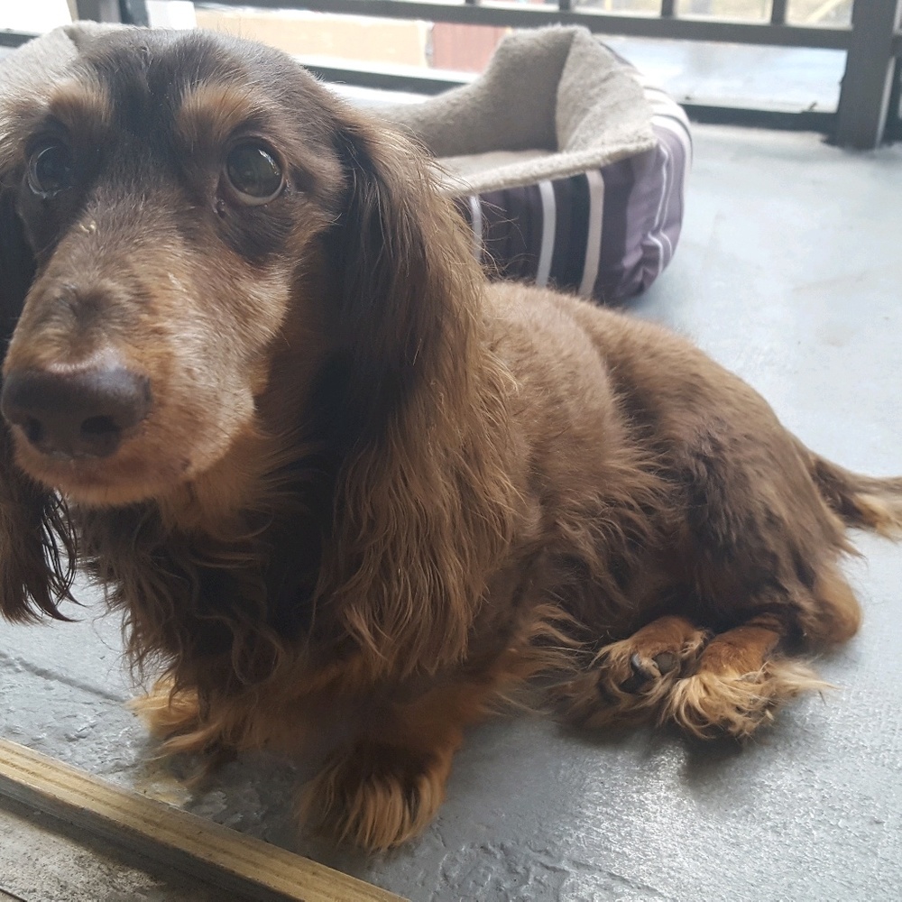 Meet your Posher, Lorens